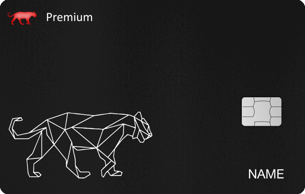 Mockup2025 Jagur 2